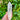 Clear Quartz Raw Crystal TWIN Generator Tower - KUSHROX Crystal Gallery