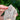Clear Quartz Raw Crystal TWIN Generator Tower - KUSHROX Crystal Gallery