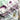 Rainbow Fluorite Crystal Generator Tower - KUSHROX Crystal Gallery