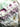 Rainbow Fluorite Crystal Generator Tower - KUSHROX Crystal Gallery